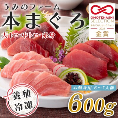 【高知県大月町産】うみのファーム お刺身用本まぐろ赤身・中トロ・大トロ  計600g
