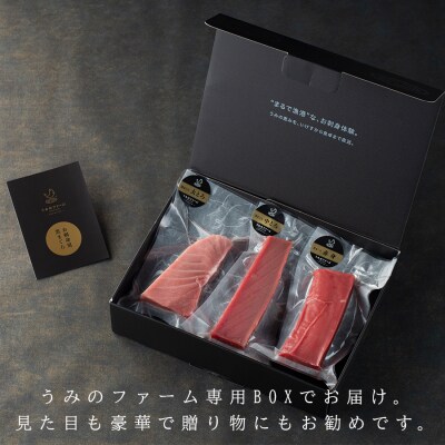 【高知県大月町産】うみのファーム お刺身用本まぐろ赤身・中トロ・大トロ  計600g