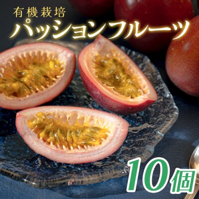 【高知県大月町産】パッションフルーツ　10個