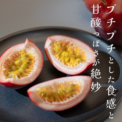 パッションフルーツ 10個 栽培期間中農薬不使用  有機肥料 南国フルーツ トロピカルフルーツ