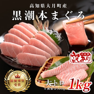 【訳アリ】養殖本マグロ 大トロ 1kg 黒潮本まぐろ 刺身用 小分け柵 最優秀賞受賞 高知県大月町