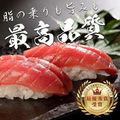 【訳アリ】養殖本マグロ 赤身 300g 黒潮本まぐろ 刺身用 小分け柵 最優秀賞受賞 高知県大月町