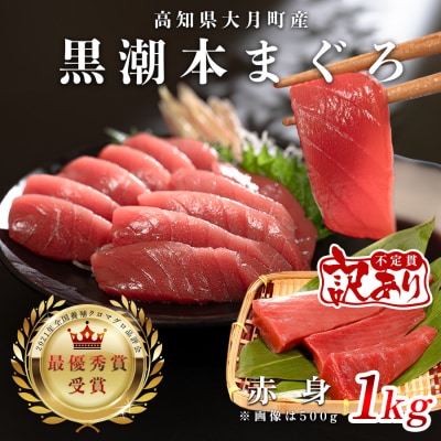 【訳あり】本マグロ 赤身1kg 不定貫 養殖マグロ 高知県産 指定日発送可能