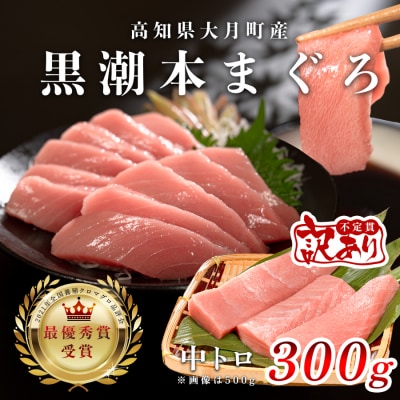 【訳あり】本マグロ 中トロ300g 不定貫 養殖マグロ 高知県産 指定日発送可能