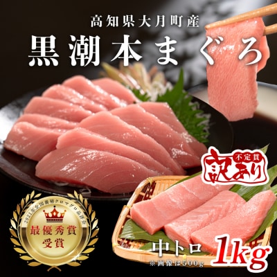 【訳アリ】養殖本マグロ 中トロ 1kg 黒潮本まぐろ 刺身用 小分け柵 最優秀賞受賞 高知県大月町