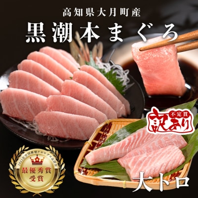 訳あり 不定貫 国産 まぐろ 本マグロ 刺身 大トロ 120g 養殖  さしみ 刺し身