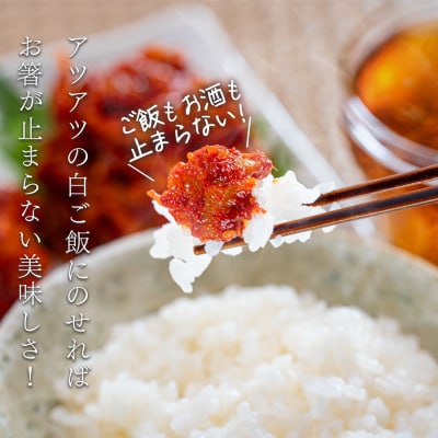 濃厚旨辛 海鮮キムチ イカキムチ タラチャンジャ 3種セット 各100g ご飯のお供 お酒の肴 晩酌