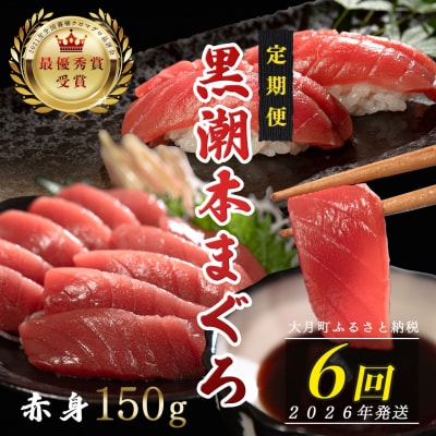 【定期便 6回】日本一!黒潮本まぐろ 赤身
