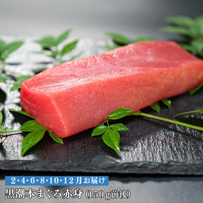 【定期便 6回】日本一!黒潮本まぐろ 赤身