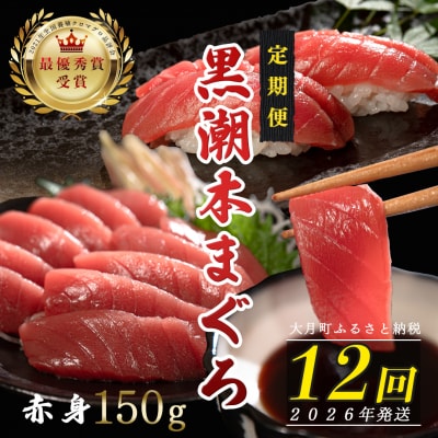 【定期便 12回】日本一!黒潮本まぐろ 赤身