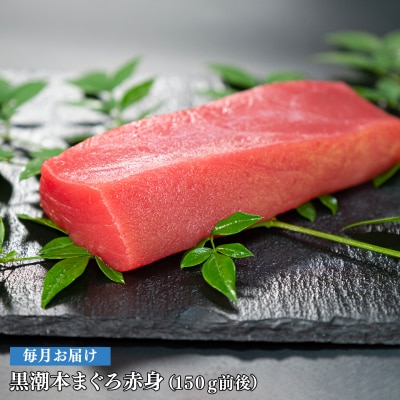 【定期便 12回】日本一!黒潮本まぐろ 赤身