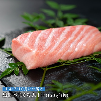 【定期便 4回】日本一!黒潮本まぐろ 大トロ