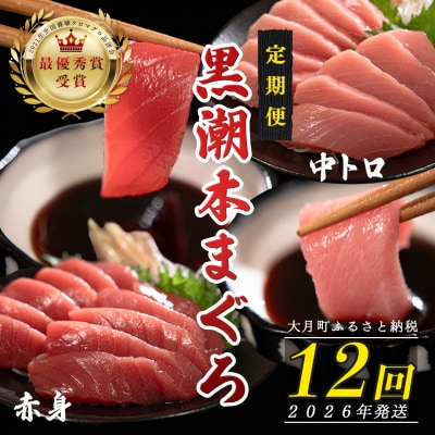 【定期便  12回】日本一!黒潮本まぐろ 中トロ・赤身