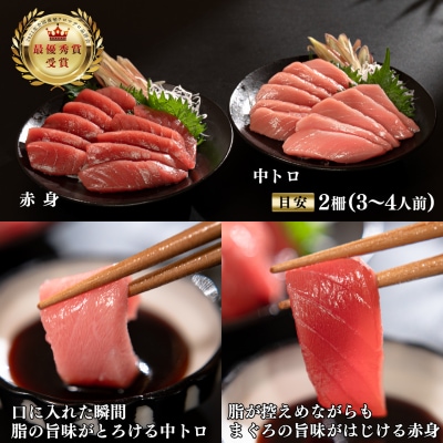 【定期便  12回】日本一!黒潮本まぐろ 中トロ・赤身