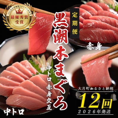 【定期便 12回】日本一!黒潮本まぐろ 中トロ・赤身(交互)