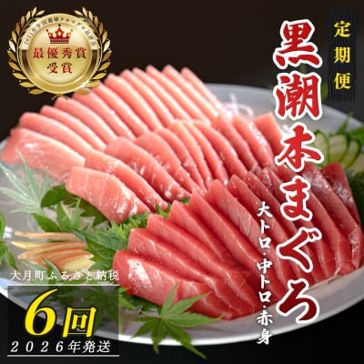 【定期便 6回】日本一!黒潮本まぐろ 大トロ・中トロ・赤身 3種セット