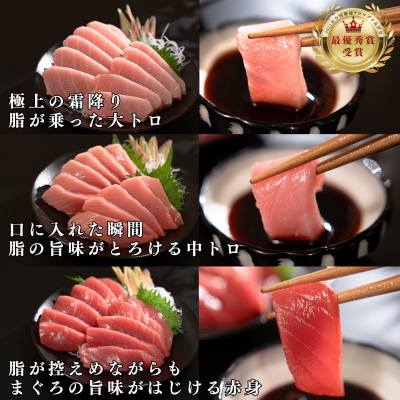 【定期便 6回】日本一!黒潮本まぐろ 大トロ・中トロ・赤身 3種セット