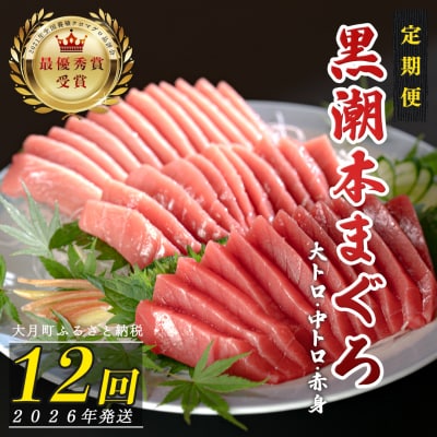 【定期便 12回】日本一!黒潮本まぐろ 大トロ・中トロ・赤身 3種セット