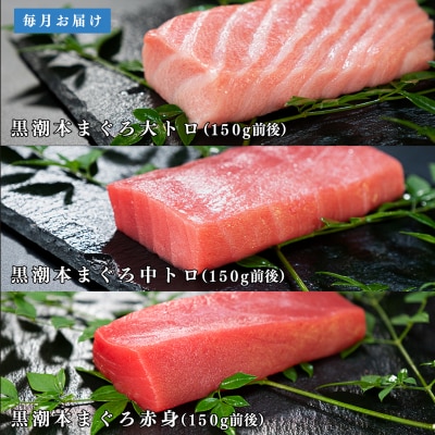 【定期便 12回】日本一!黒潮本まぐろ 大トロ・中トロ・赤身 3種セット