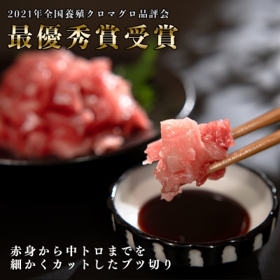 【定期便 6回】日本一!黒潮本まぐろ ブツ切り