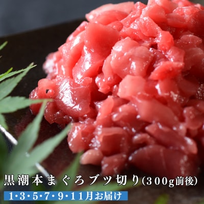 【定期便 6回】日本一!黒潮本まぐろ ブツ切り