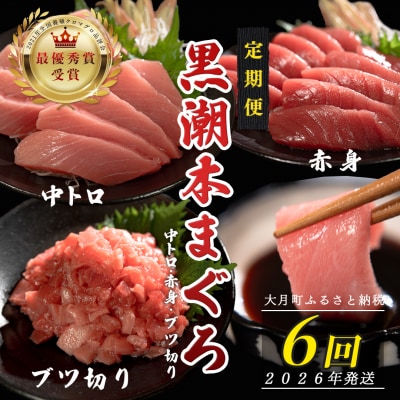 【定期便 6回】日本一!黒潮本まぐろ 中トロ・赤身・ブツ切り 3種セット