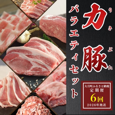 【定期便 6回】ブランド豚　力豚バラエティーセット