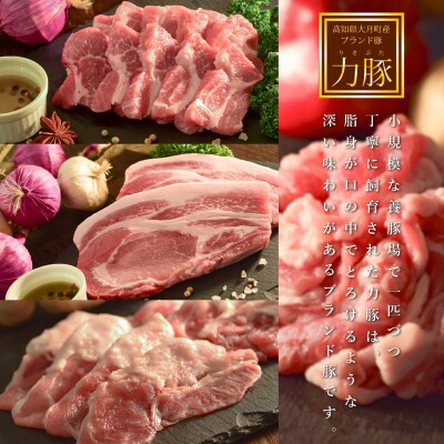 【定期便 6回】ブランド豚　力豚バラエティーセット