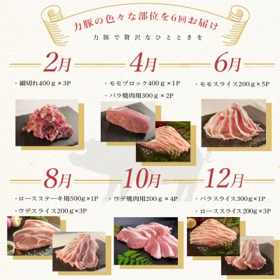 【定期便 6回】ブランド豚　力豚バラエティーセット