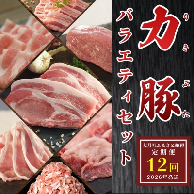 【定期便 12回】ブランド豚　力豚バラエティーセット