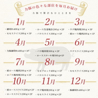 【定期便 12回】ブランド豚　力豚バラエティーセット