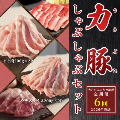 【定期便 6回】ブランド豚 力豚しゃぶしゃぶセット