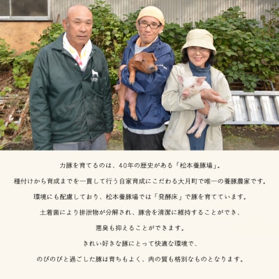 【定期便 6回】ブランド豚 力豚しゃぶしゃぶセット