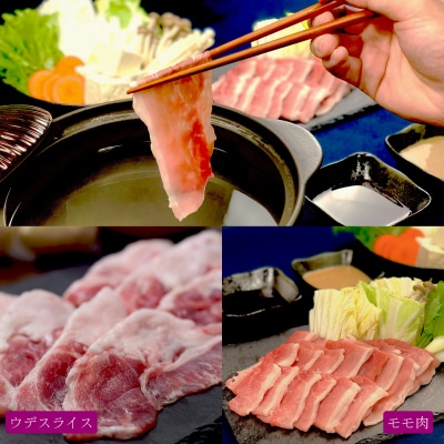 【定期便 6回】ブランド豚 力豚しゃぶしゃぶセット(大)