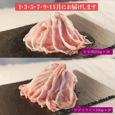 【定期便 6回】ブランド豚 力豚しゃぶしゃぶセット(大)