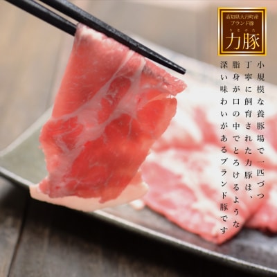 【定期便 12回】ブランド豚 力豚しゃぶしゃぶセット(大)