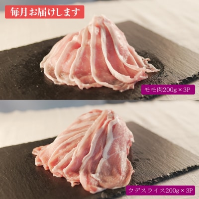 【定期便 12回】ブランド豚 力豚しゃぶしゃぶセット(大)