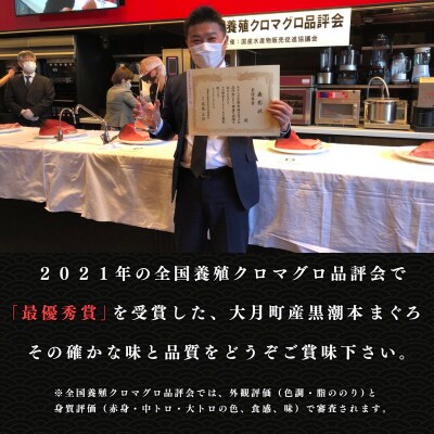 【定期便 4回】日本一!黒潮本まぐろ 赤身