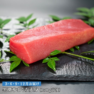 【定期便 4回】日本一!黒潮本まぐろ 赤身