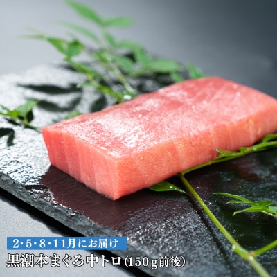 【定期便 4回】日本一!黒潮本まぐろ 中トロ