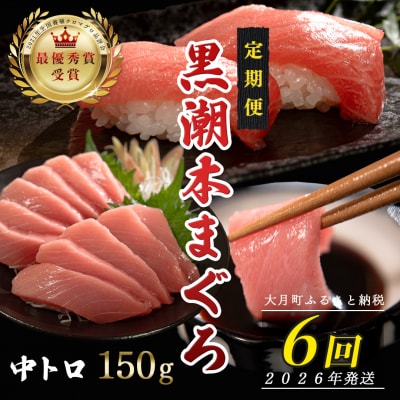 【定期便 6回】日本一!黒潮本まぐろ 中トロ