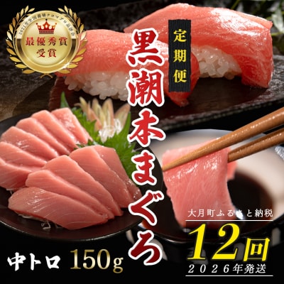【定期便 12回】日本一!黒潮本まぐろ 中トロ