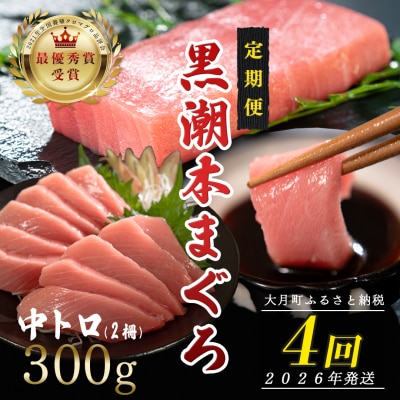 【定期便 4回】日本一!黒潮本まぐろ 中トロ2柵