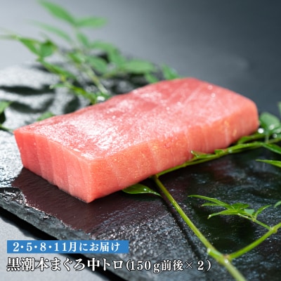 【定期便 4回】日本一!黒潮本まぐろ 中トロ2柵