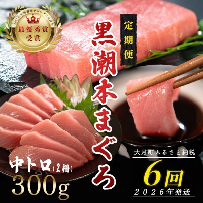 【定期便 6回】日本一!黒潮本まぐろ 中トロ2柵