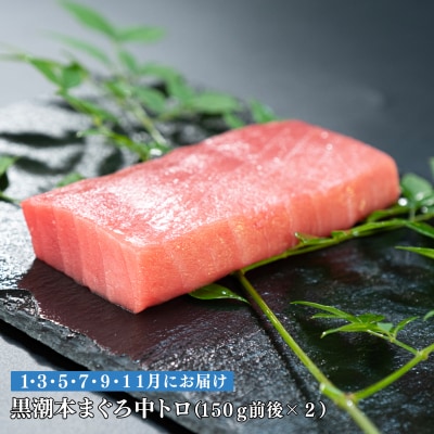 【定期便 6回】日本一!黒潮本まぐろ 中トロ2柵