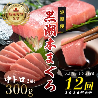 【定期便 12回】日本一!黒潮本まぐろ 中トロ2柵