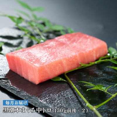 【定期便 12回】日本一!黒潮本まぐろ 中トロ2柵