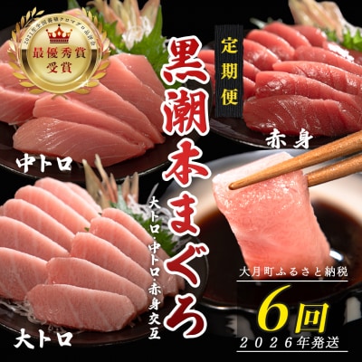 【定期便 6回】日本一!黒潮本まぐろ 大トロ・中トロ・赤身(交互)