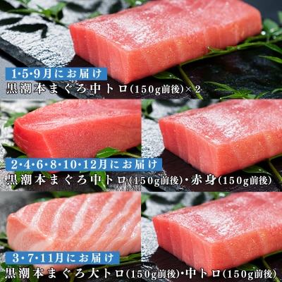 【定期便 12回】日本一!黒潮本まぐろ 大トロ・中トロ・赤身(交互) 